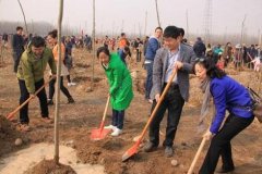 蘭州昊宇清潔工程有限公司公益植樹活動現場